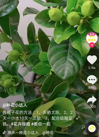 Ĳ֮ѡҿϵ绰13838587319 ﾭ