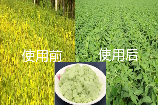ũҵѯ绰13838587319